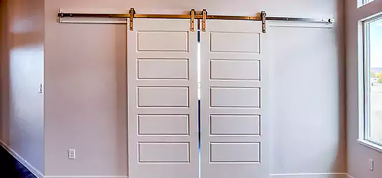 Glass Barn Door with Installation Hardware Kit Tustin
