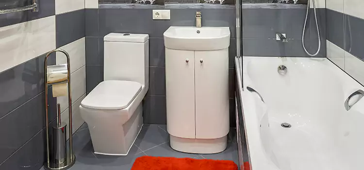 Hansgrohe Shaving Mirror Tustin